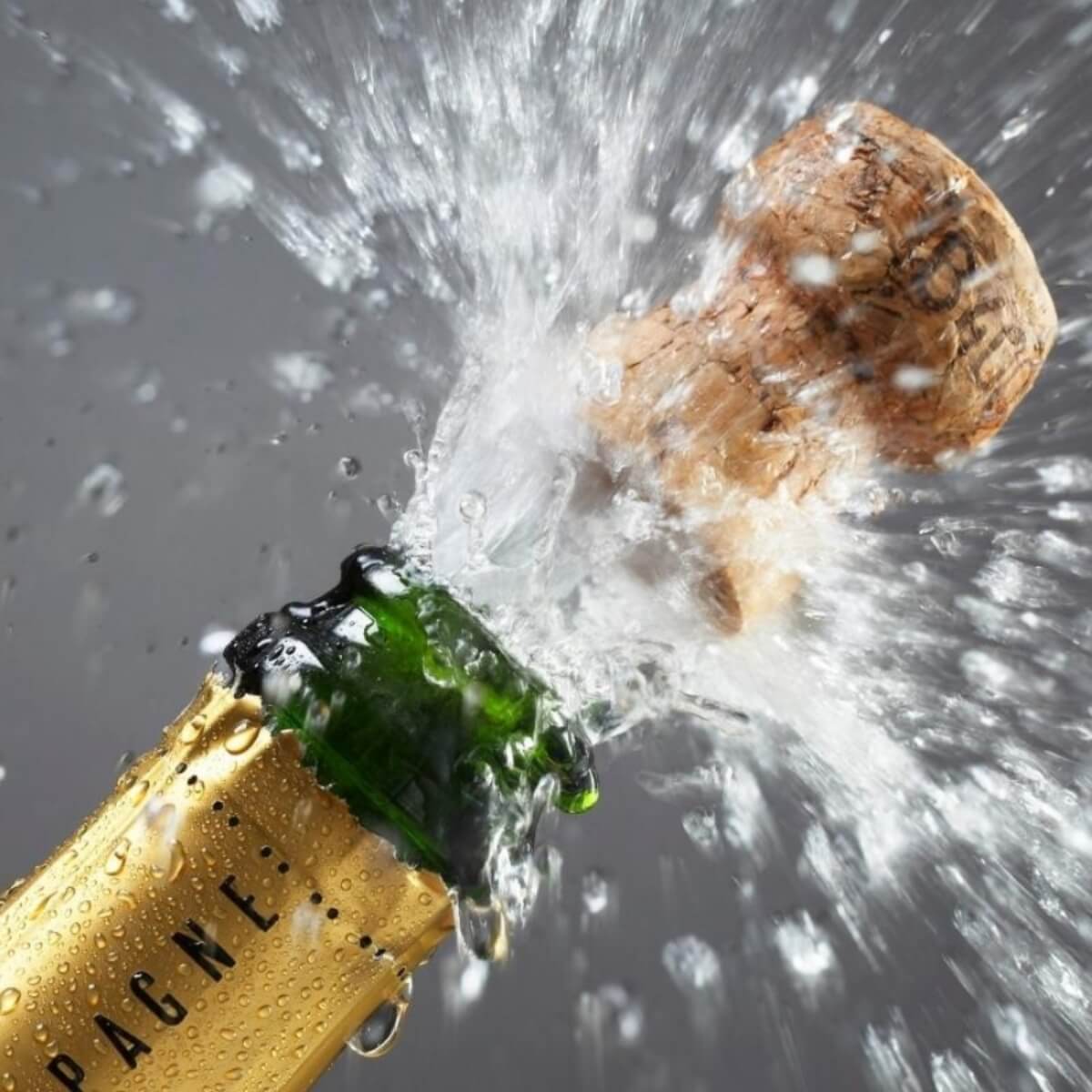 gbwine-cat-champagne